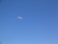 IMG_1652.JPG