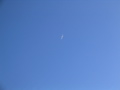 IMG_1654.JPG